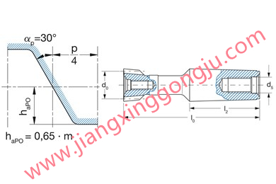 Shank-type shaper cutter with DIN 5480