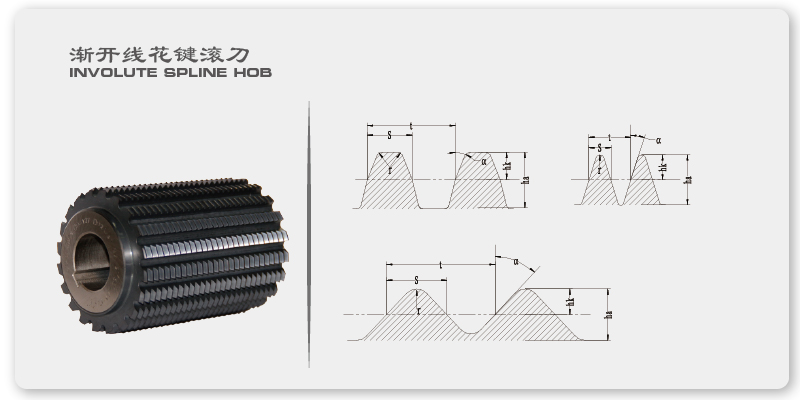 漸開(kāi)線(xiàn)花鍵滾刀.jpg