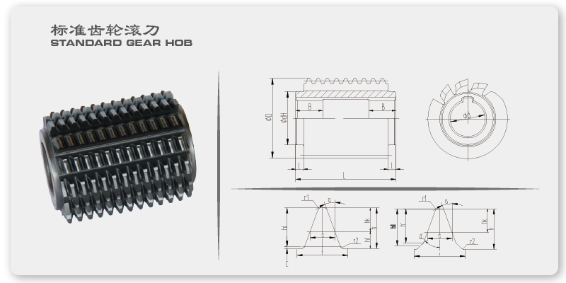 標準齒輪滾刀.jpg
